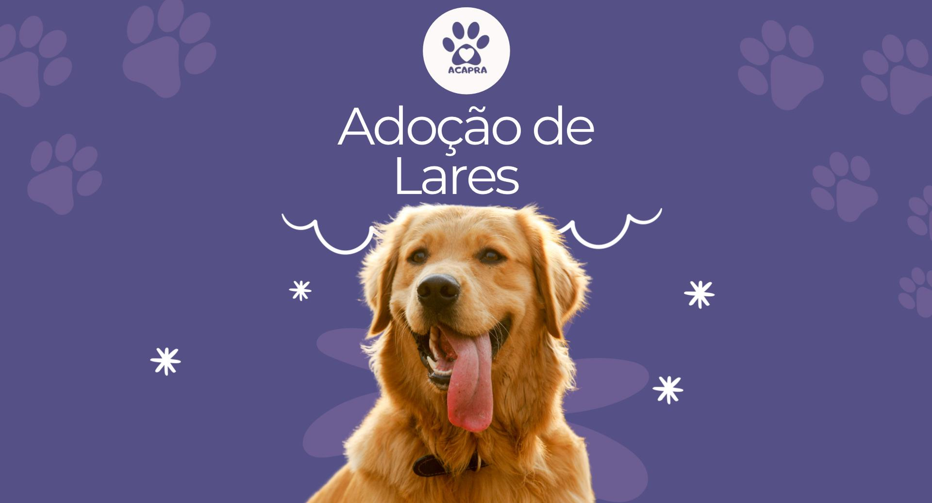 Decoração superior